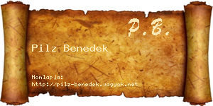 Pilz Benedek névjegykártya
