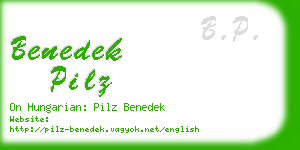 benedek pilz business card